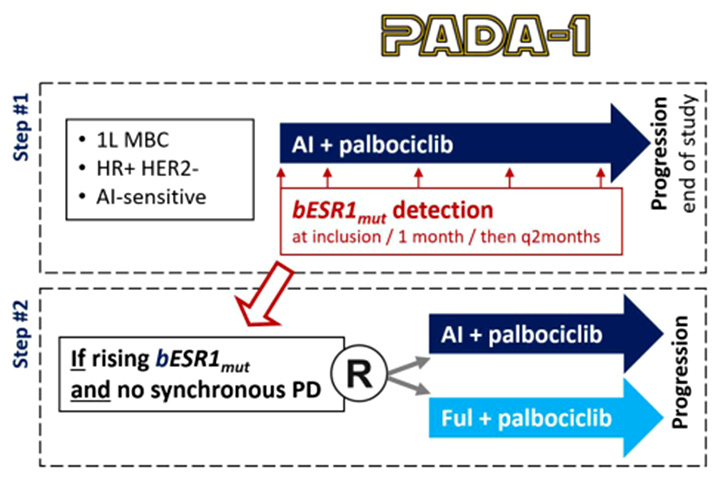 PADA-1: первая линии терапии при гормонозависимом раке молочной железы с мутацией в гене ESR1 (ЭР-α)